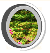 the hotel side garden