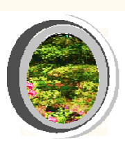 the hotel side garden